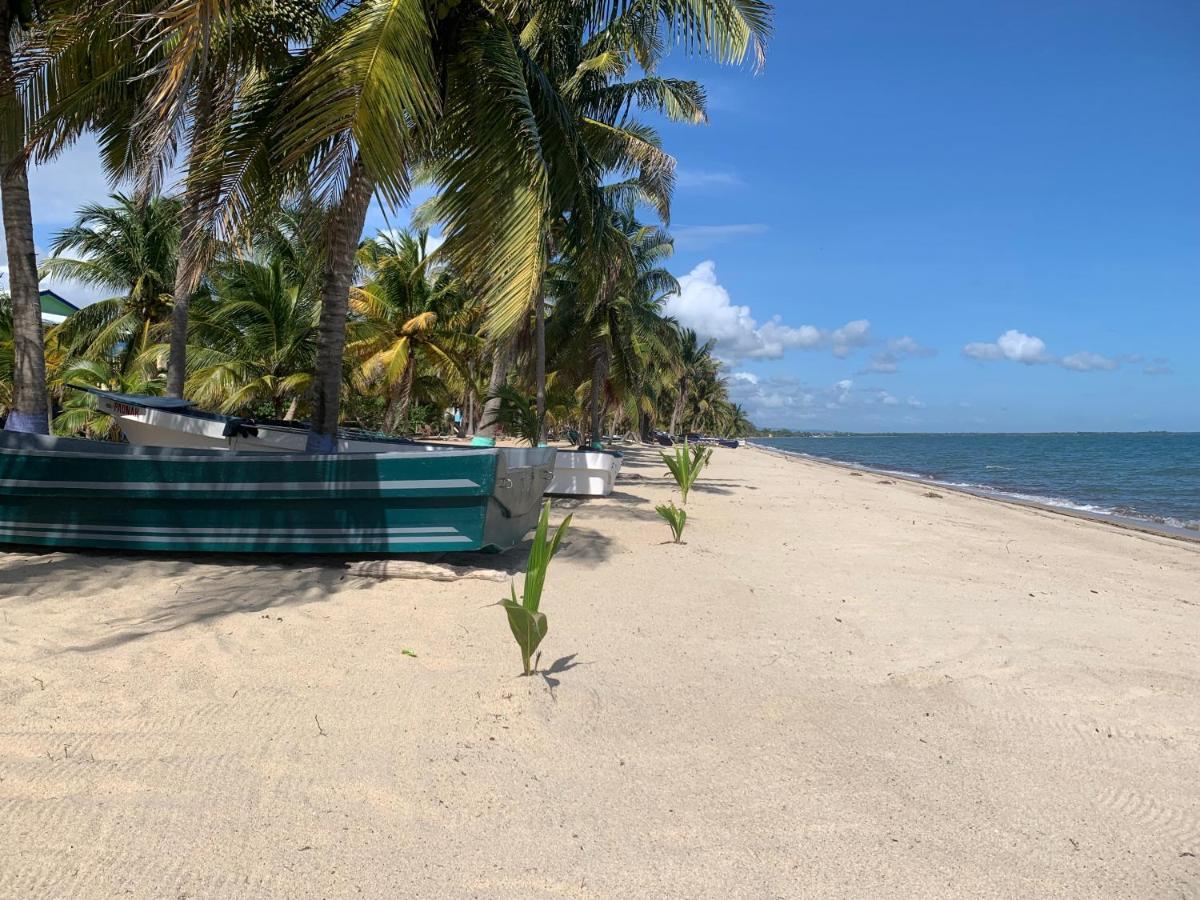 All Seasons Belize Hopkins Eksteriør bilde