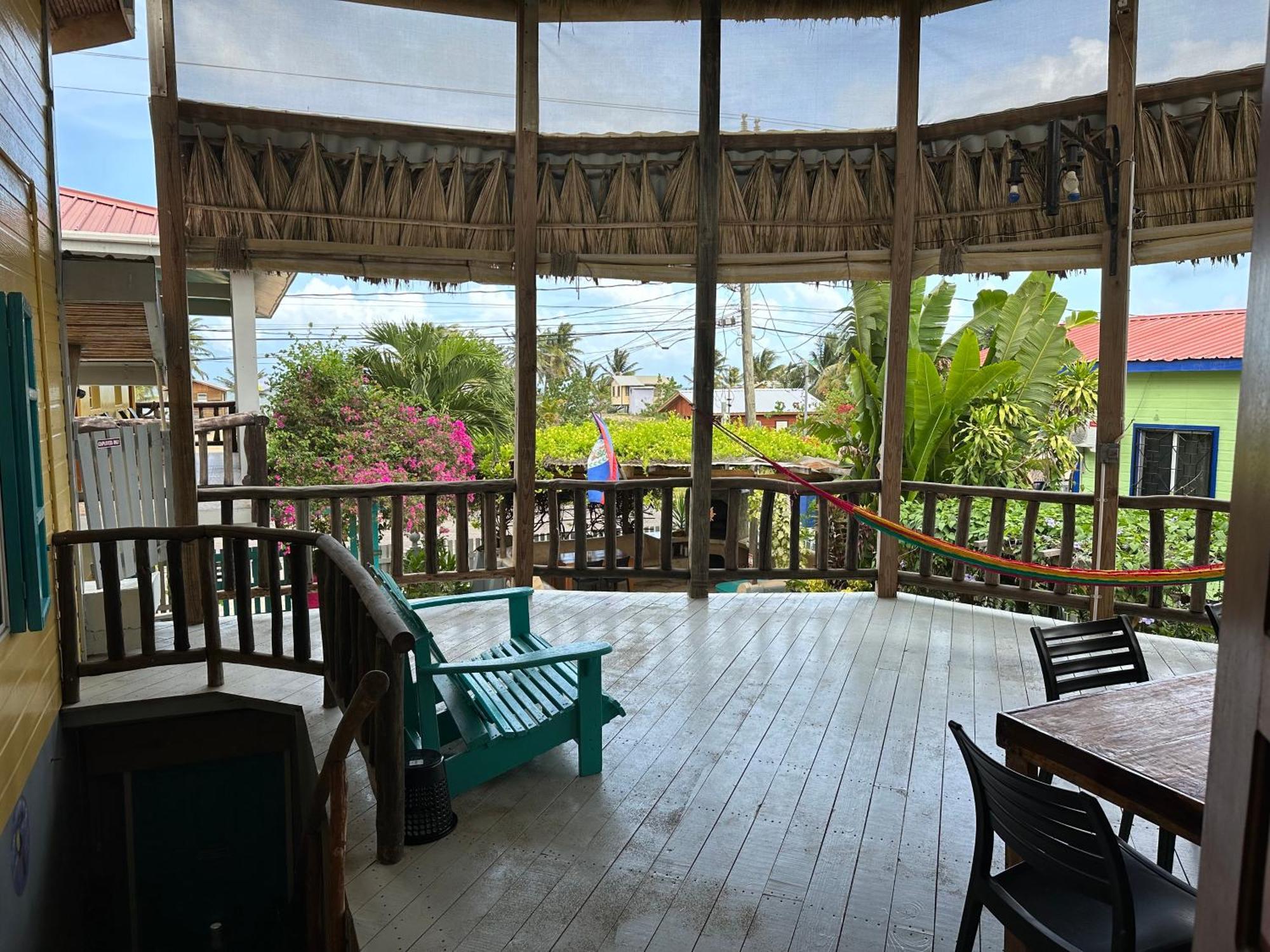 All Seasons Belize Hopkins Rom bilde